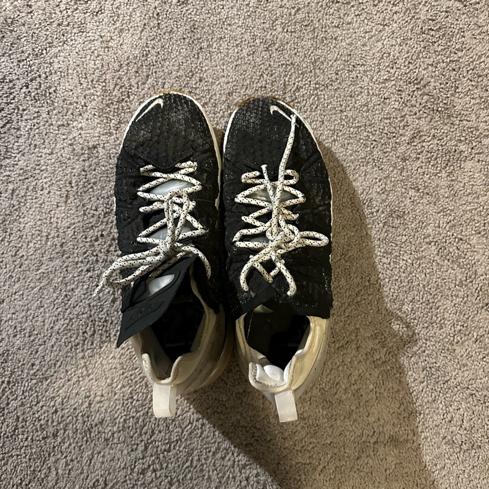Lebron 19 shoes